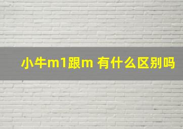 小牛m1跟m 有什么区别吗